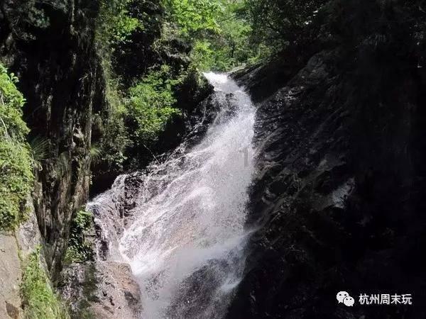 笑傲江湖中,任盈盈这个角色为何始终没人能演好?-知识星球平台