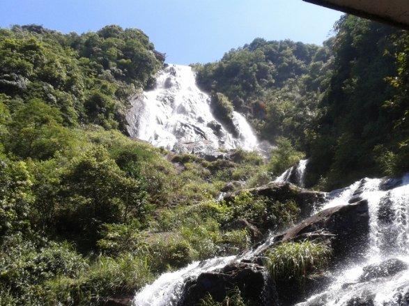外地游客乘机前手机遗落 热心重庆人帮忙半小时找回