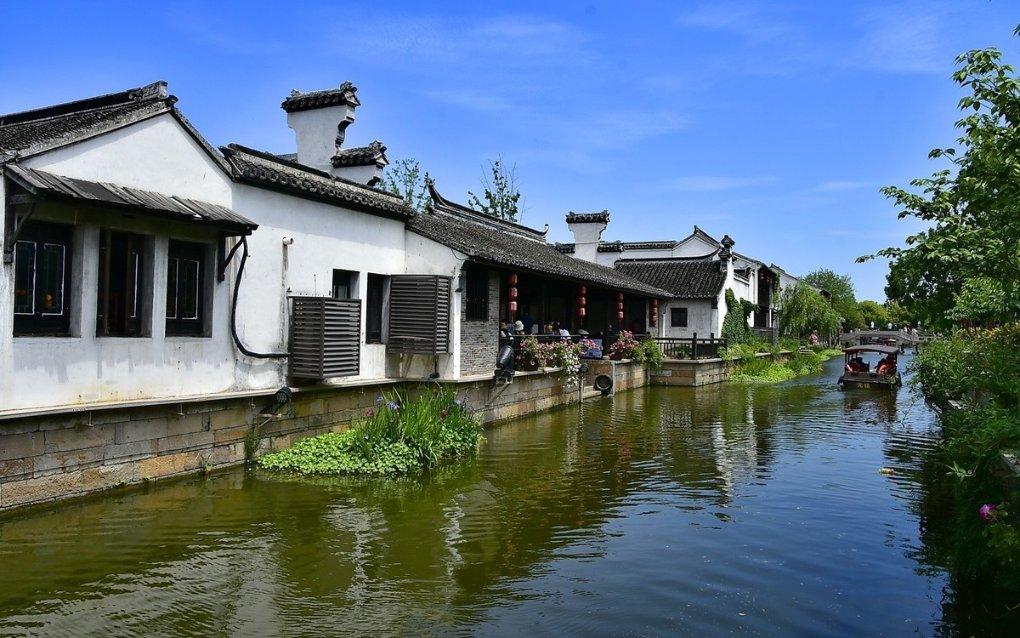 动物帮帮忙保卫家园